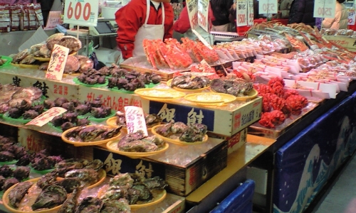 角上魚類流山店
