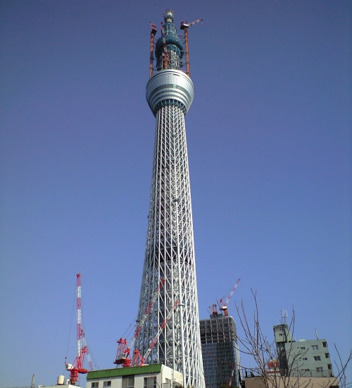 2011年1月5日の東京スイカイツリー