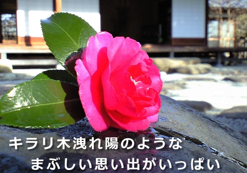 想い出がいっぱい