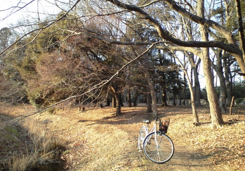 冬の理窓会記念公園