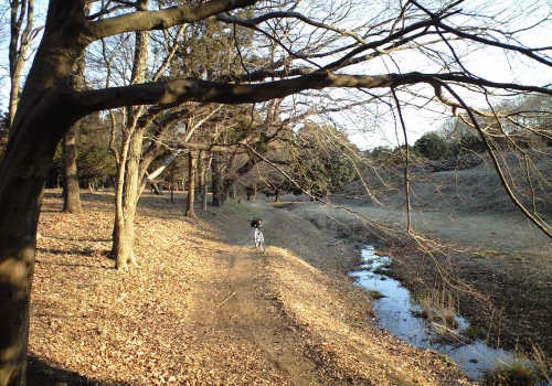 冬の理窓会記念公園