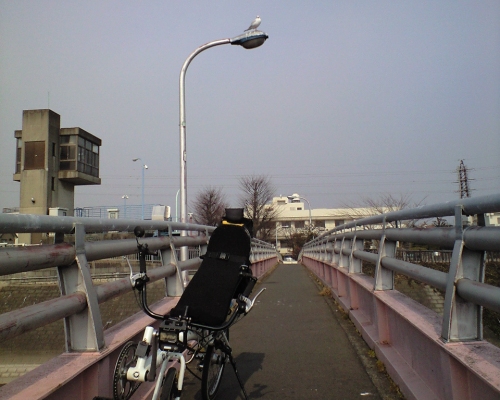 三郷放水路とカモメ