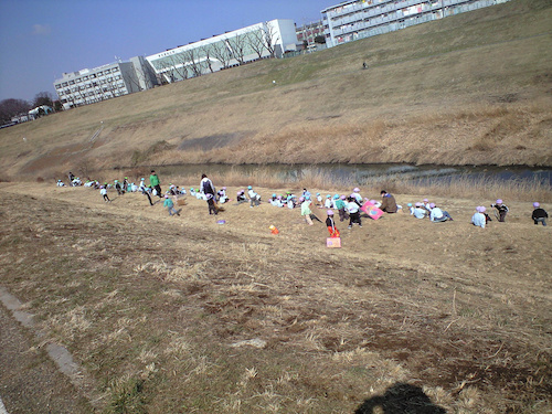 利根運河の芝すべり