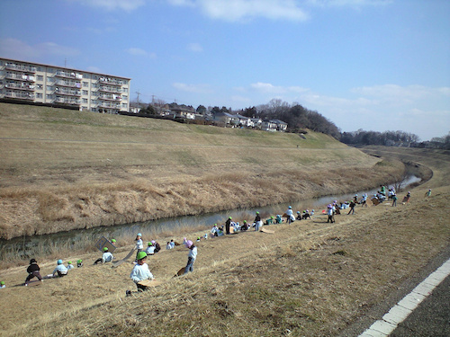 利根運河の芝すべり