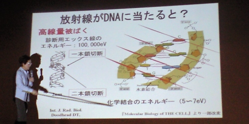 放射線がDNAに当たると?崎山比早子