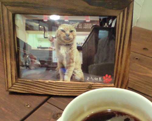 南流山:山猫屋珈琲店とら社長