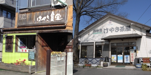 けやき食堂とけやき茶屋